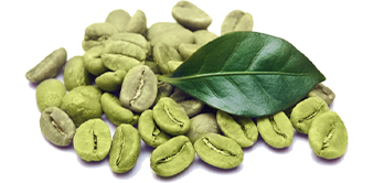 Zielona kawa
